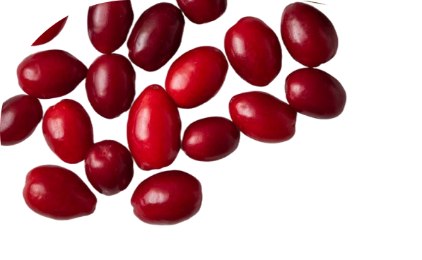 Berries Background
